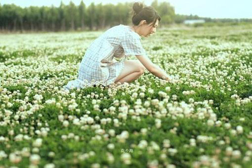 唯美浪漫花海里