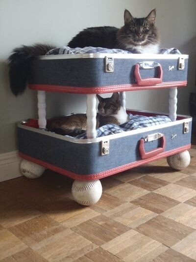 手工--旧旅行箱做成猫咪的家~~手工很强大~