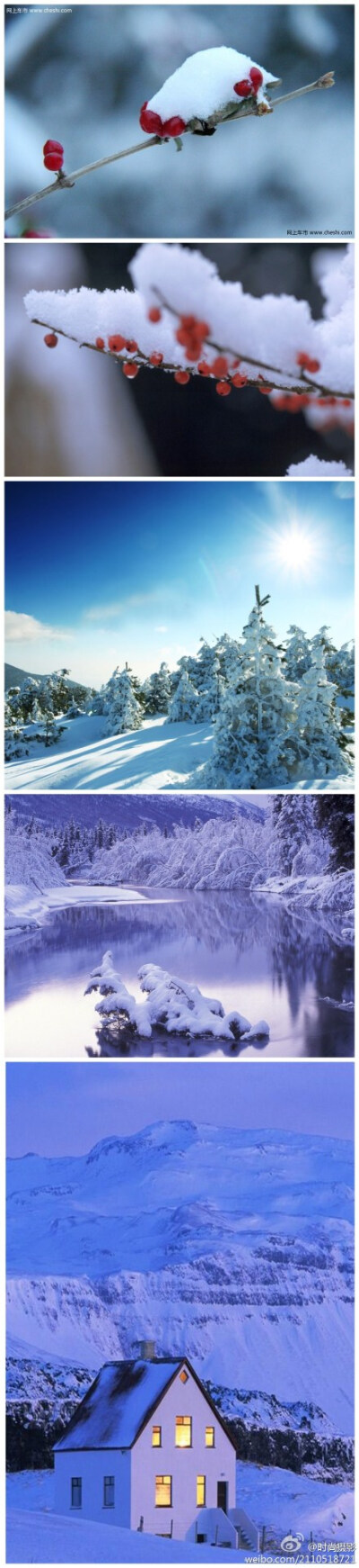 千里冰封，万里雪飘。在这样的美景中，独自陶醉，安享其乐才是王道