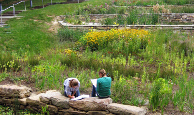 The green roof on top of the new middle school building adds another layer to the school’s stormwater management system. Rather than diverti...