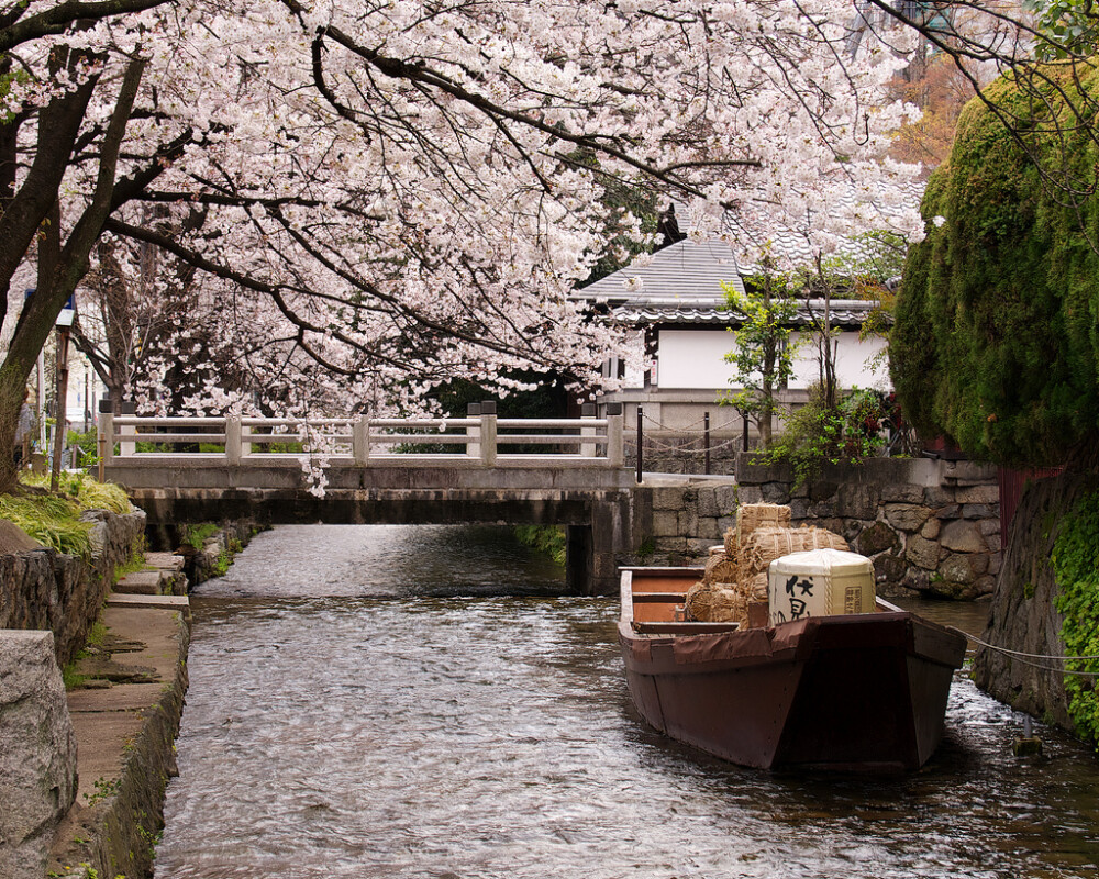 旅行时路过的风景，温めの春そっとなでる開く人。