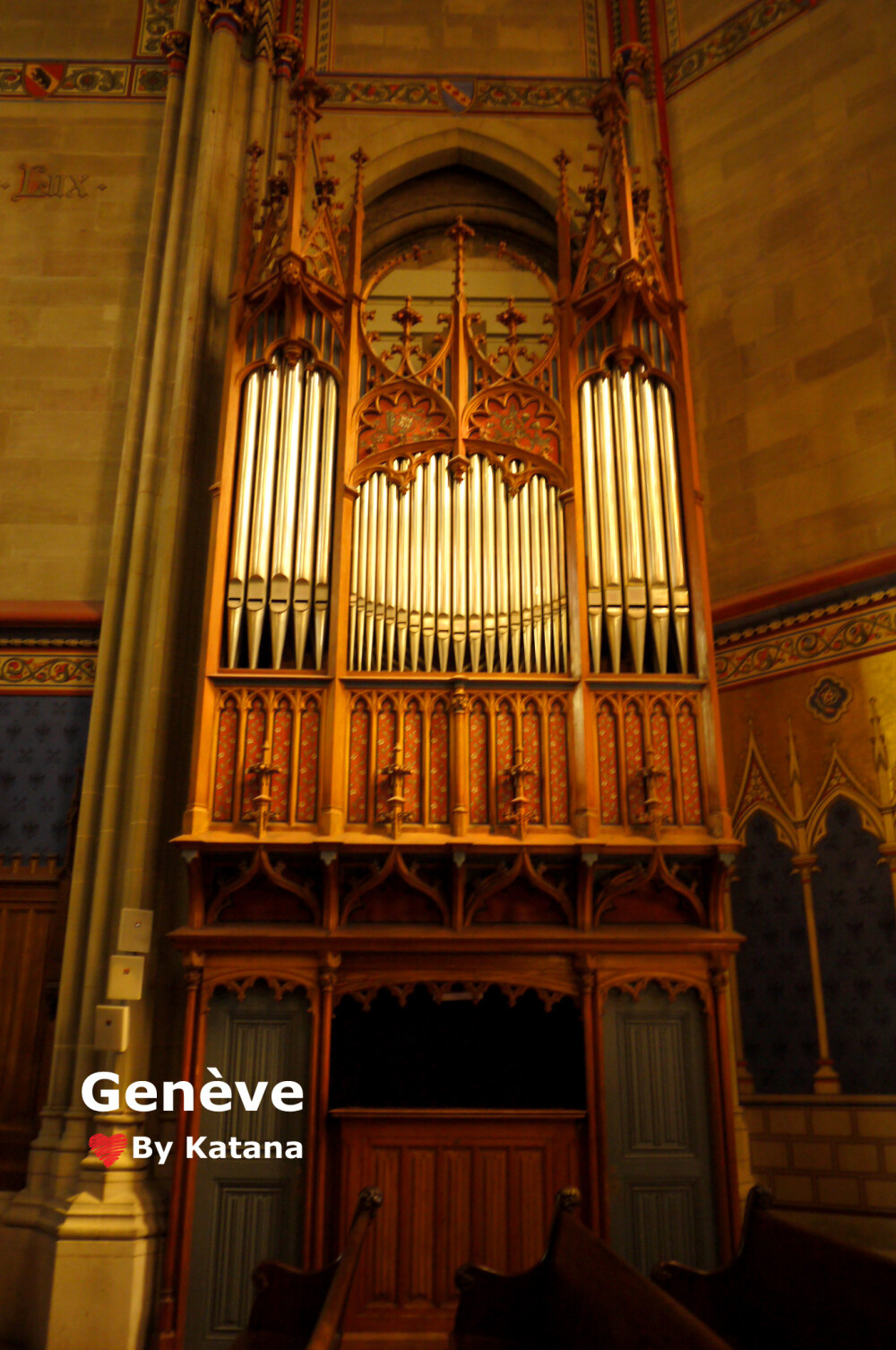 瑞士日内瓦圣皮埃尔大教堂（Cathédrale St-Pierre）内的管风琴