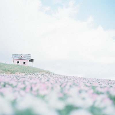 花田