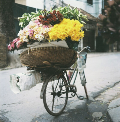 深巷卖花