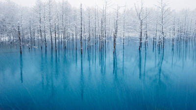 Photograph The Most Beautiful Pond In The World! by Kent Shiraishi on 500px