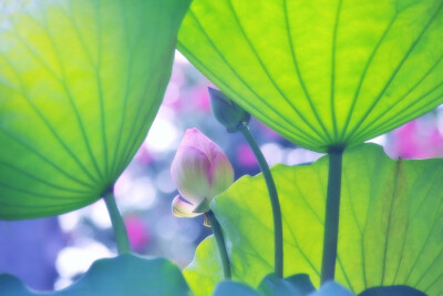 Photograph Tomorrow of desired by Lafugue Logos on 500px