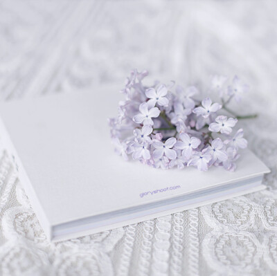 时光依在，一直在转，我们亦未曾停下。O(∩默默千紫∩)O