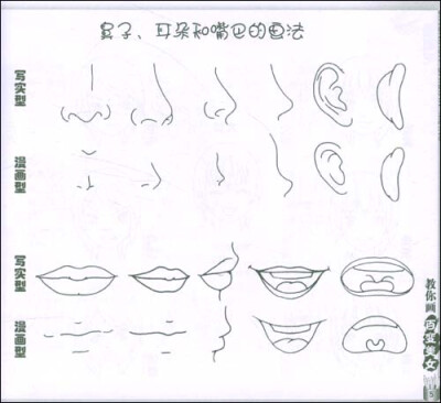 鼻子耳朵嘴巴的画法。