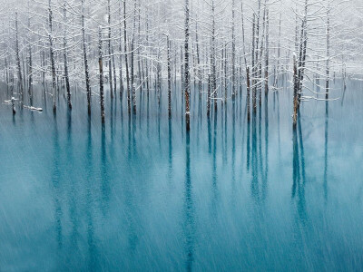 日本北海道美瑛