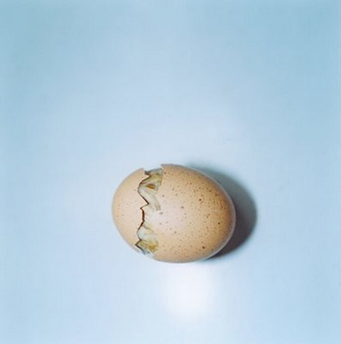 Rinko Kawauchi98