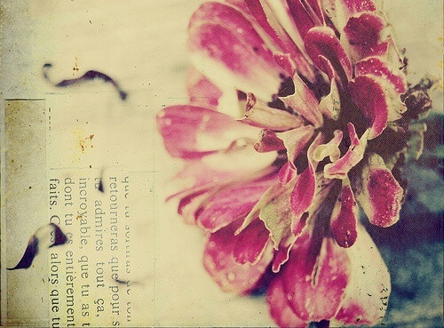 遇见你是我一世的春暖花开