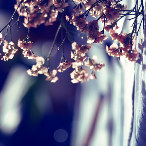 To_Breathe_Underwater__by_Blutr0t