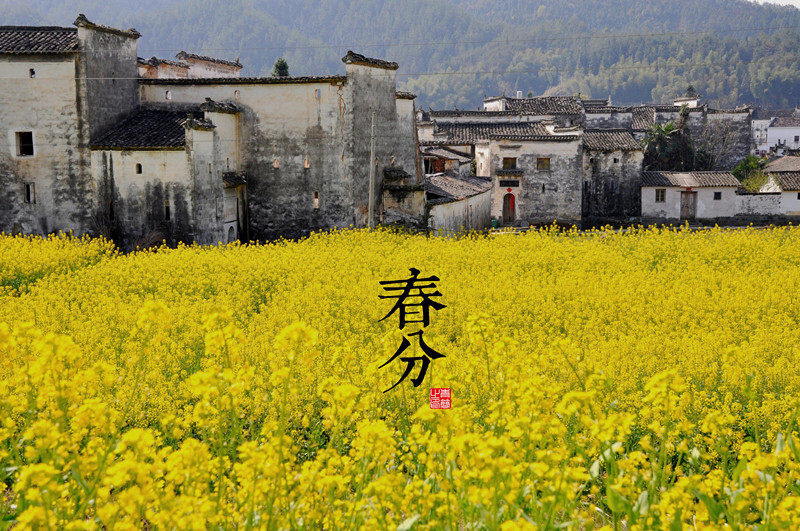 【春分】每年的3月20日（或21日），阳光直照赤道，昼夜几乎等长。我国广大地区越冬作物将进入春季生长阶段。