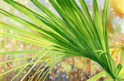 Mary Ellen Golden的自然世界之美【来自aladd】