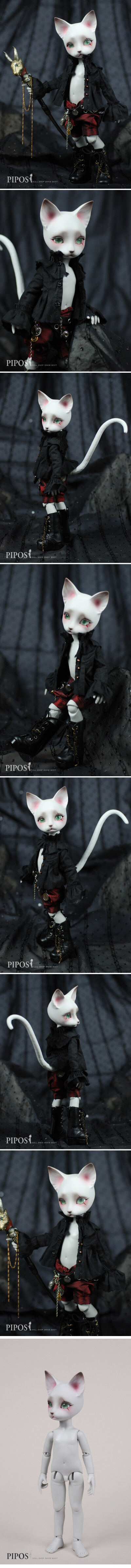 【PIPOS】Derek Basic edition2