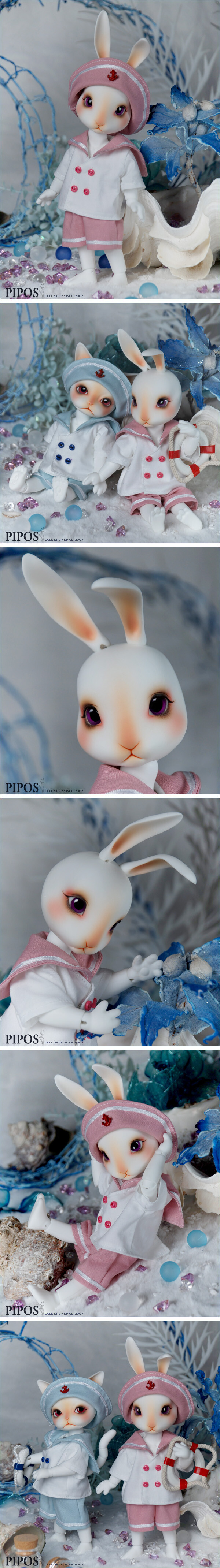 【PIPOS】2010 Curo Basic