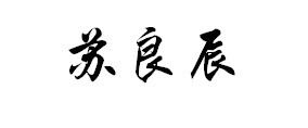 苏良辰—— 此去经年，应是良辰好景虚设。便纵有千种风情，更与何人说。