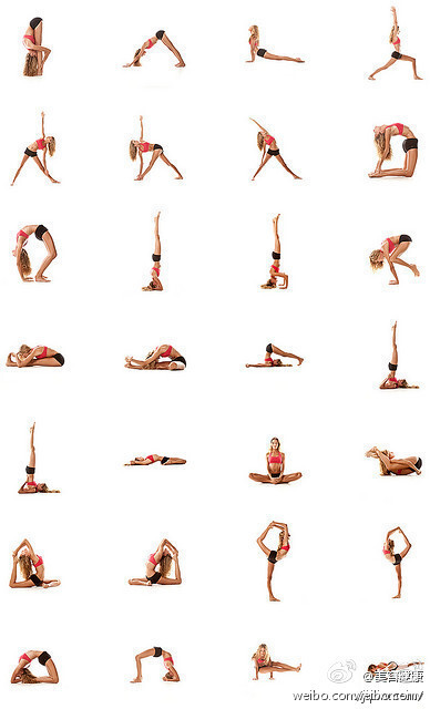 28种瑜伽动作