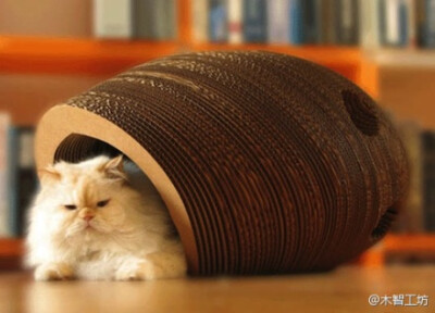 设计师Warren Lieu用瓦楞纸板制作的猫舍。