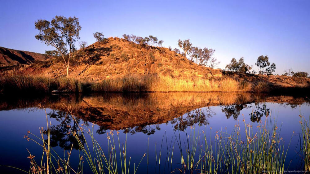 Australian Pond for 1366x768