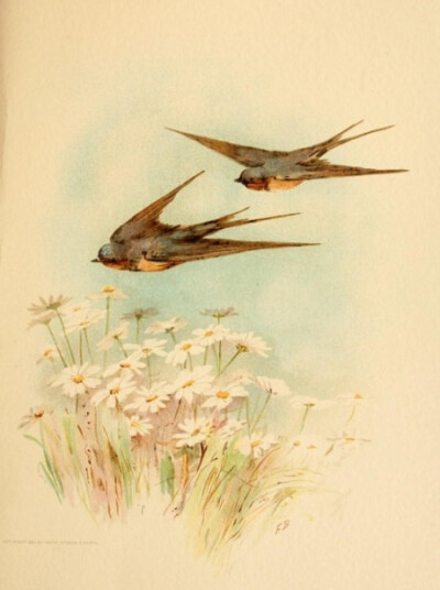 春天花会开，鸟儿它自由自在……