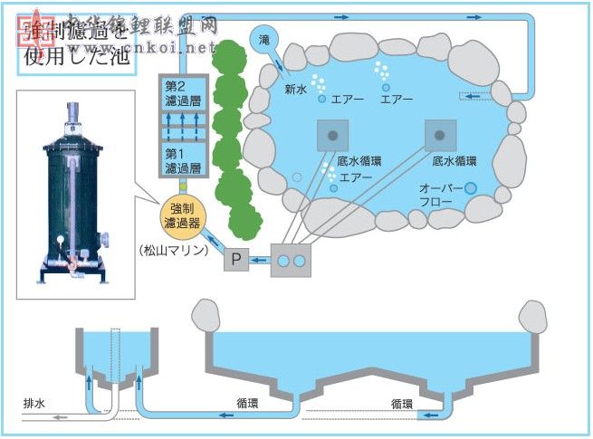 生化过滤