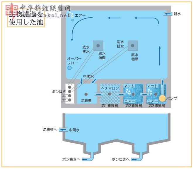 强制过滤