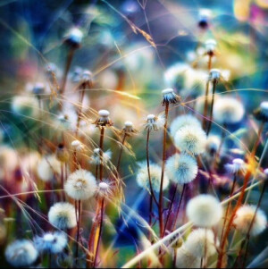 【職場心理】1.做事先做人,會做人才能成大事。2.誠贏天下,要立事先立信。3.善謀人脈，人脈決定財脈,財脈決定命脈。4.第一要有志，第二要有識，第三要有恒。5.年輕人，要把吃苦當成吃補。6.人家做8小時，我就做16小時。7.成功10%靠運氣，90%靠勤奮。8.挫折磨難是最好的學校。