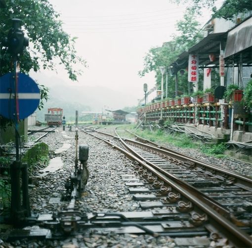 这里是台湾