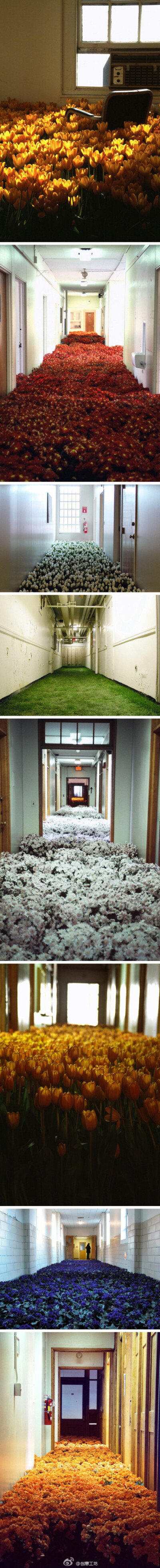 美国女艺术家Anna Schuleit用28000盆盛开的鲜花填满了这座承载了太多希望和悲伤的建筑