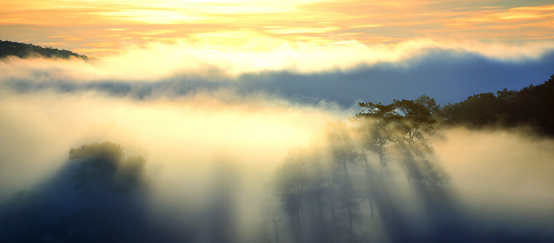 Photograph Dalat Fog by Ngo Nguyen Huynh Trung Tin on 500px