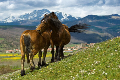 Photograph A HUG in ARBEJAL / Un ABRAZO en ARBEJAL by Juan PIXELECTA on 500px