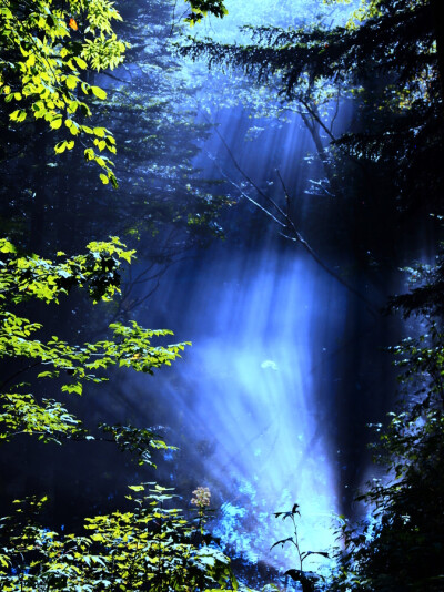 Photograph Mysterious lake by ｙｕｍｅ - on 500px