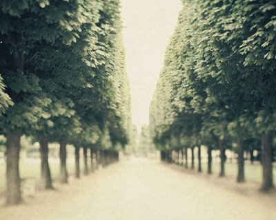 Paris Photograph, Luxembourg Garden, Row of Trees, Spring Green, Nature, Dreamy Travel Photography - Parks and Recreation