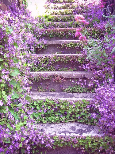 FLOWER STAIRS