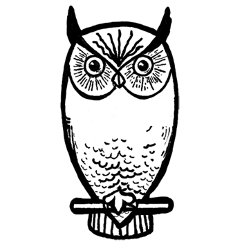 Step finished owl square How to Draw Owls with Step by Step Drawing Lesson