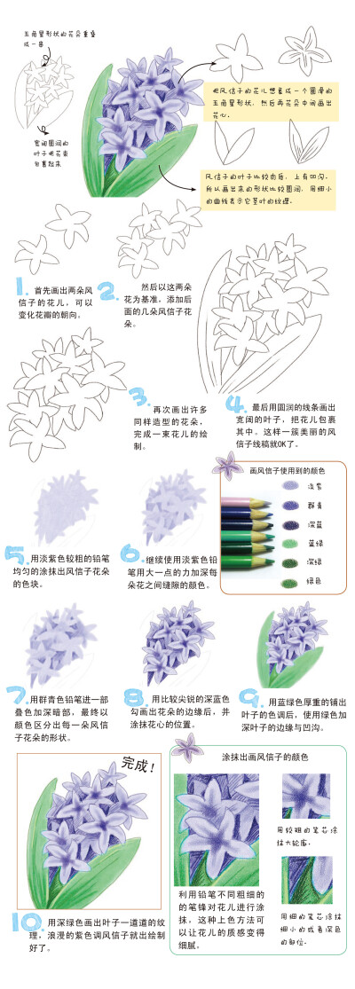 紫色风信子花语：悲伤、妒忌，忧郁的爱（得到我的爱，你一定会幸福快乐）、道歉(对不起，请原谅我）、后悔~