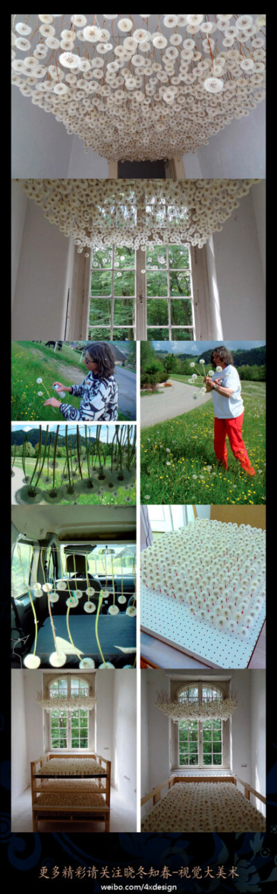 艺术派-----先为这些为艺术献身的蒲公英默哀3分钟。德国艺术家Regine Ramseier在野外采摘了数千株蒲公英，一株株定型放置在特定的木板上，最终将其倒置在房屋的屋顶，打造出这么一间“浪漫”的特别屋顶。。（个人觉…