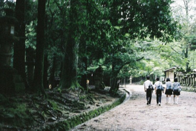 知道时间不可能停留，就没有必要伤春悲秋；知道感情不可能刻意，就不会为了谁寻死觅活；知道孤独总是如影随形的，就不会在某一些时刻难以自制；知道遗忘总是必然的，就不会为一时的忘却而伤感；知道过去始终是存在的…