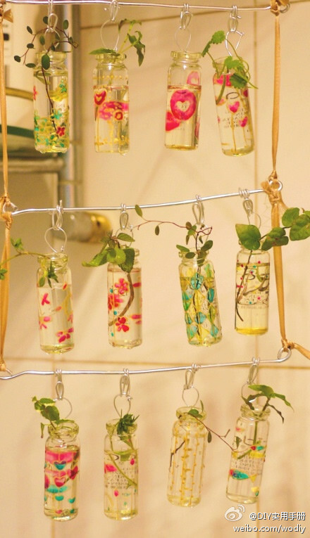 手绘植物吊瓶。