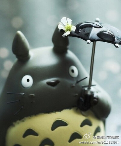 天突然落起雨，你带伞了吗？