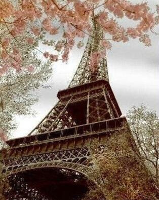 巴黎，永远是一个浪漫的梦想。午安~