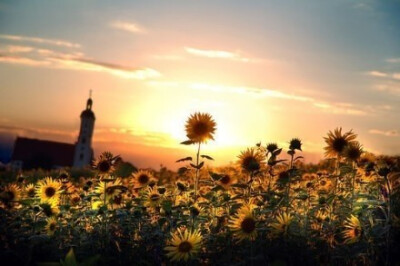 谢谢你给我的希望，都是那么的让人绝望。