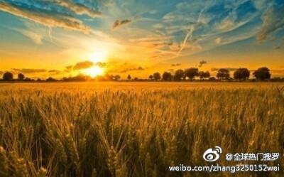 世上的喜剧不需要金钱就能产生，世上的悲剧大半和金钱脱不了关系。