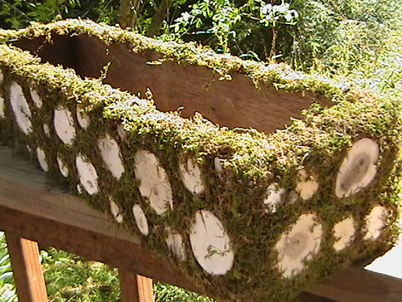 Rustic Woodland Planter Box