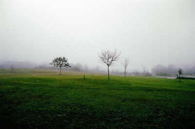 雨后