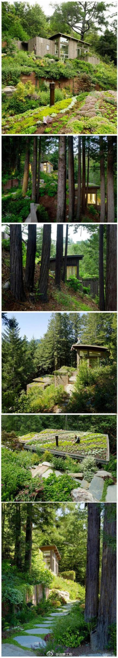 藏在米尔山谷的小木屋_Mill Valley Cabins by Feldman Architecture ，与大自然为伴！