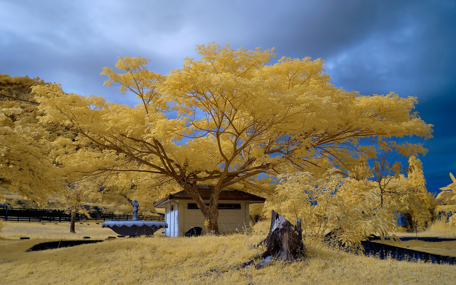 Photograph At the Park by Dacel Andes on 500px