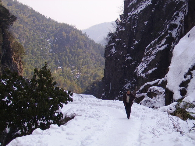 Location:富阳。雪 生活富裕。生命阳光...一座城.一幅画.【你好。富陽】