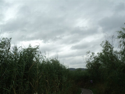 陕西省渭南市合阳县处女泉风景